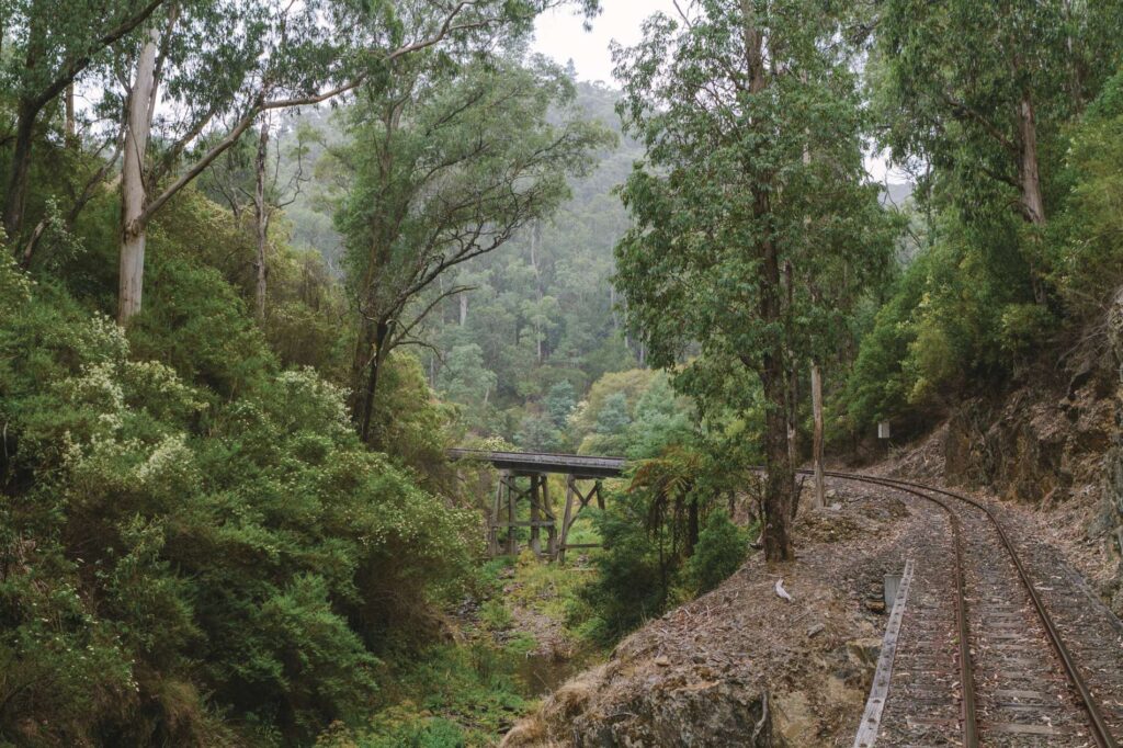 melbourne puffing billy