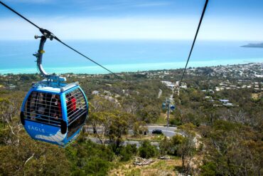 Arthurs Seat Eagle
