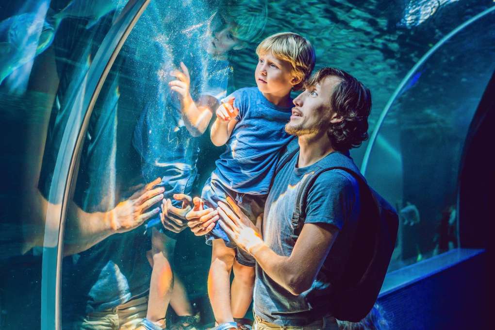 10 Fun Things to Do in Melbourne with Kids - Melbourne Private Tour Desk