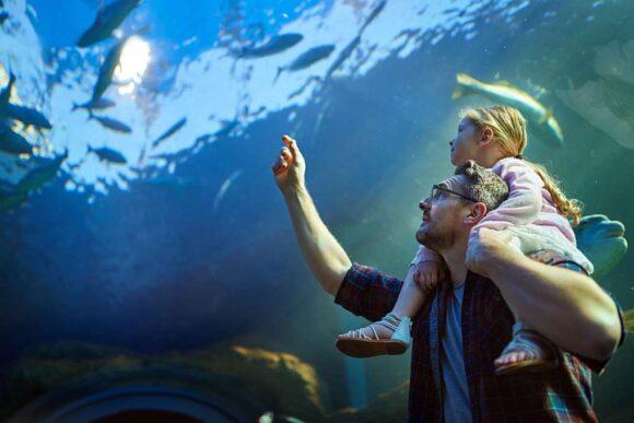 The Best Melbourne Attractions for Families
