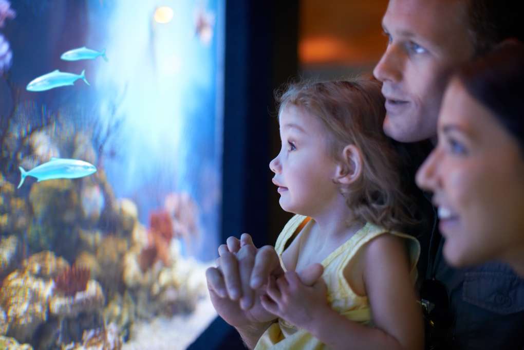 aquarium for families children